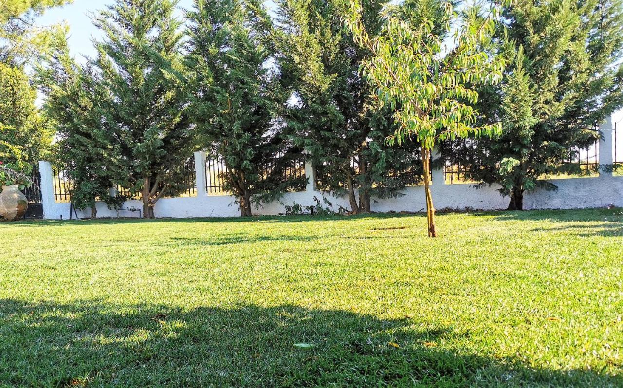 Casa Das Portas Azinhaga Bagian luar foto